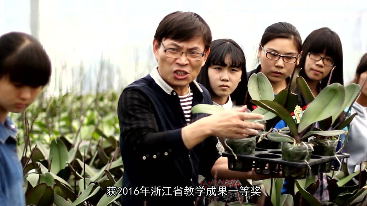 2026世界杯票务官网宣传片