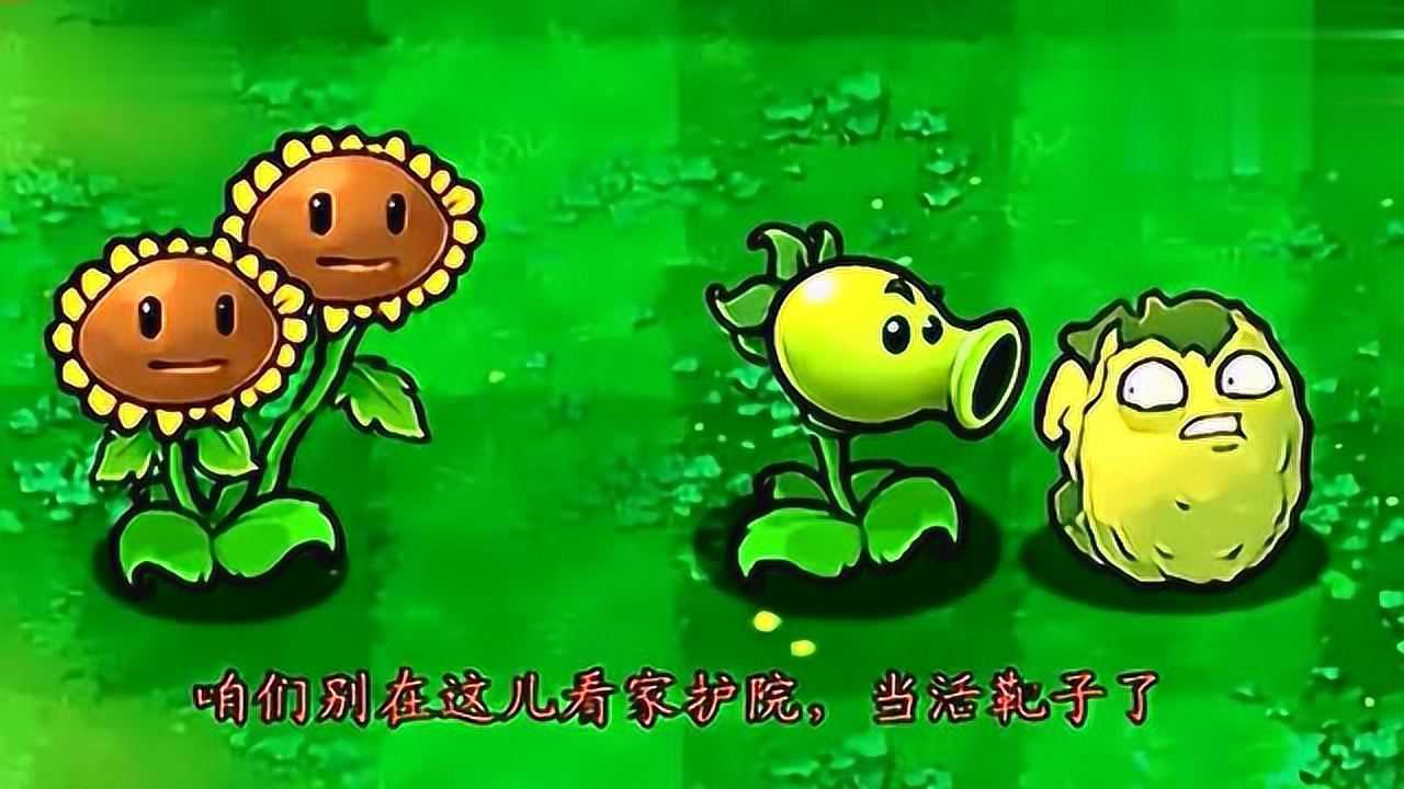 腾讯视频