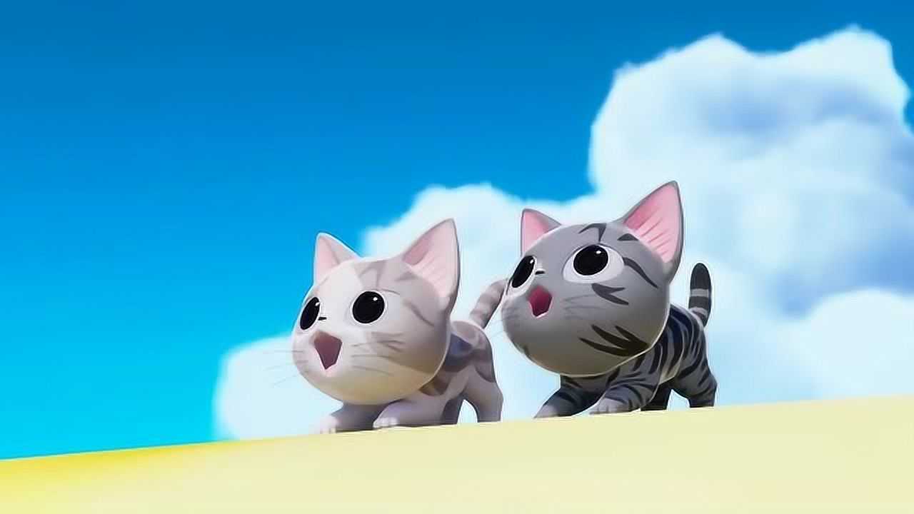 甜甜私房猫可奇真是有勇有谋啊不过闪亮亮猎物也很厉害哦