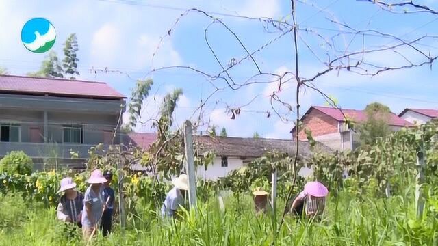 武宁县凝心聚力谋脱贫 齐心协力奔小康