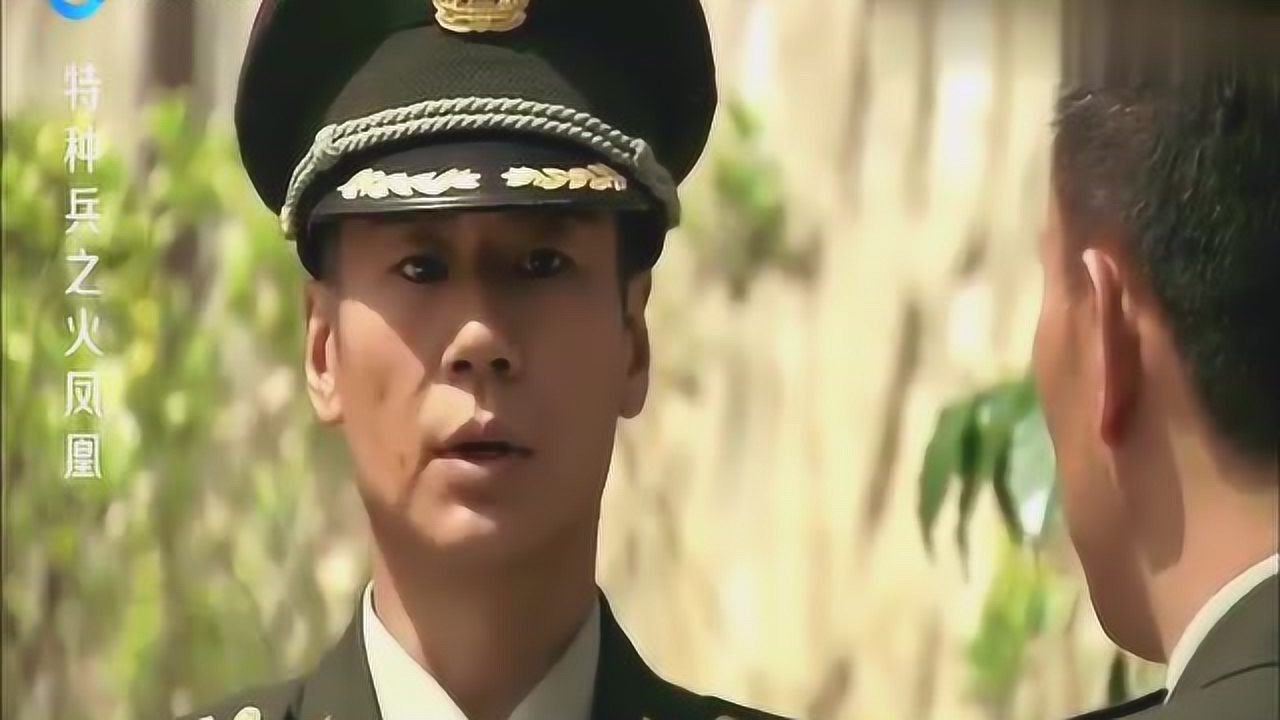 特种兵之火凤凰徐佳想娶程愫首长大呼简直是吃了豹子胆了