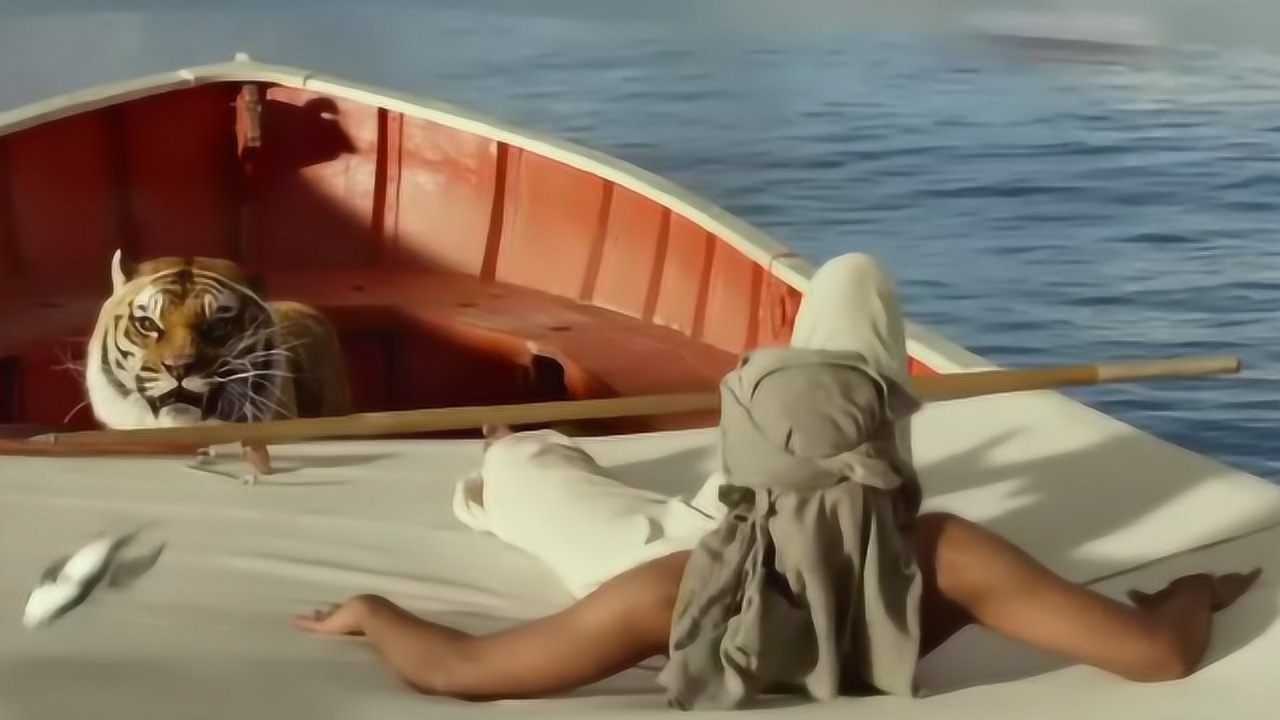 不敢相信,一个少年和一只孟加拉虎在海上漂浮生存了半年多_电影_高清