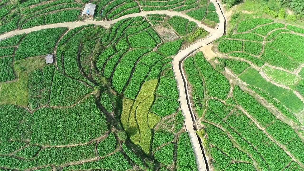 阳山县黄坌镇东岳行宫徒步登山线路活动预告