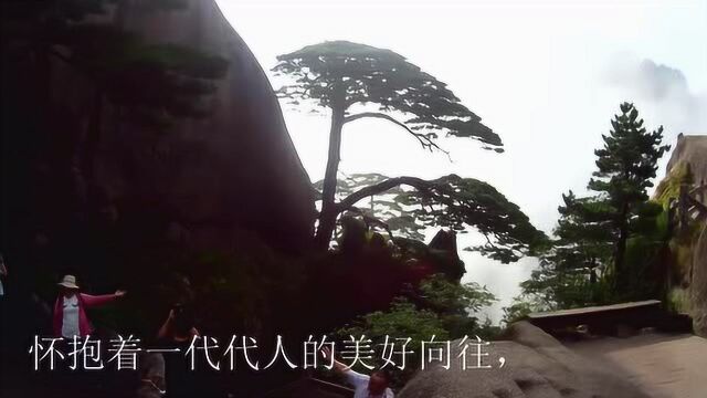 畅游四方 安徽黄山风景区之 《黄山颂》 云海