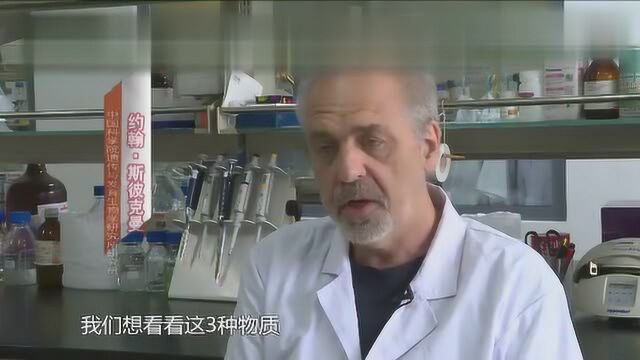 怕长胖?科学家从小鼠实验中找到肥胖“元凶”