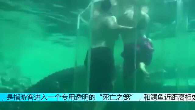 实拍澳大利亚达尔文鳄鱼公园的“死亡之笼”