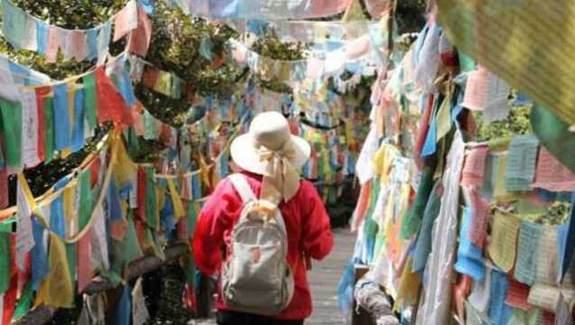 游客亲身经历,西藏旅行被套路白花好几万,去旅行时要擦亮眼