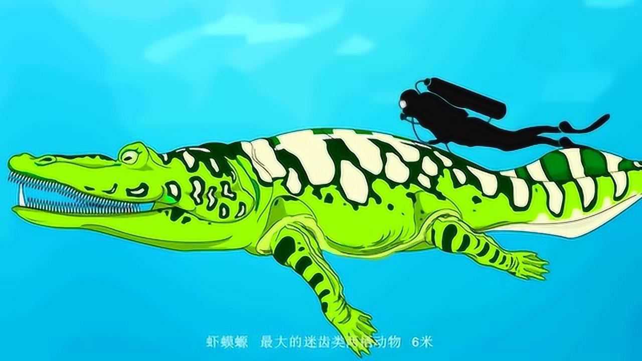 史前海洋生物大小比較恐龍時代的海洋怪物最長可達21米驚豔