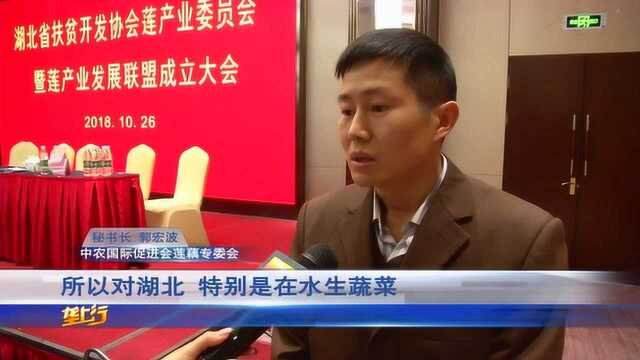 好消息!湖北莲产业发展联盟在洪湖成立 ,100多家单位入驻