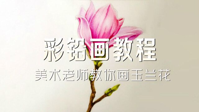 彩铅画教程,教你快速学会画一朵玉兰花