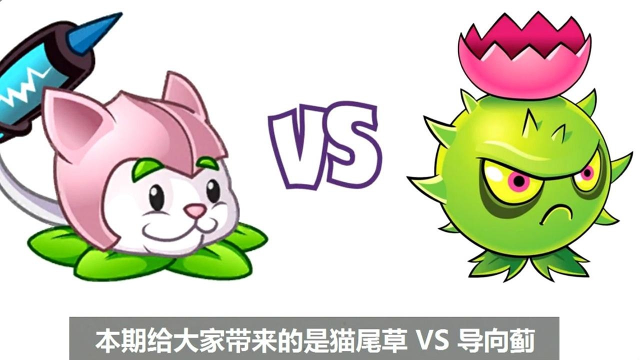 植物大战僵尸猫尾草vs导向蓟