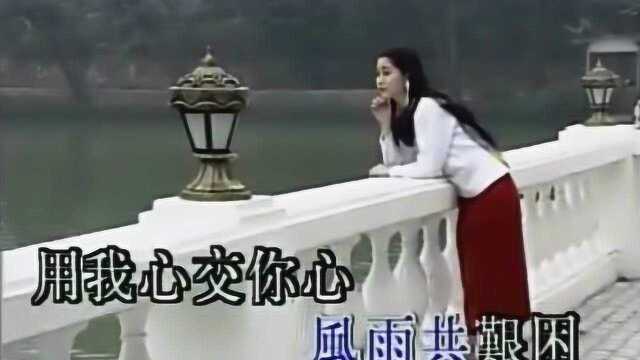 张学友  情系半生  ktv版