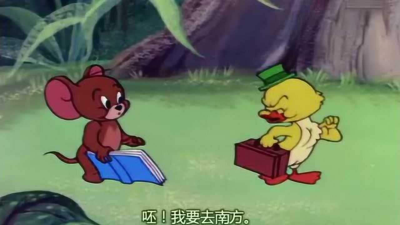 猫和老鼠之南飞的鸭子