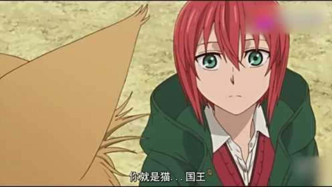 魔法使的新娘决定出手相助埃利亚斯神秘消失智世被尴尬质问