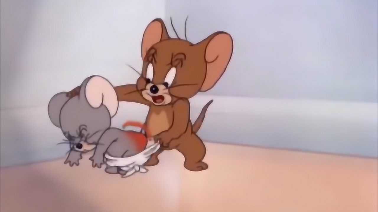 猫和老鼠:汤姆打了小老鼠屁股,杰瑞怒了!