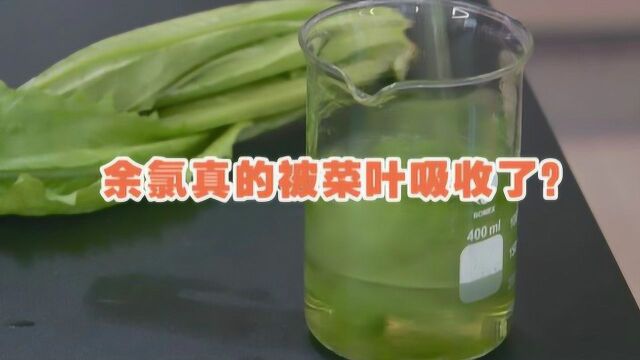 菜叶能吸附水中余氯?环保酵素真的能去余氯吗?