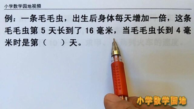 小学数学三年级辅导课堂 期中考试一道题 想不到倒推孩子做不出来