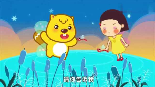 贝瓦儿歌美丽的夜晚