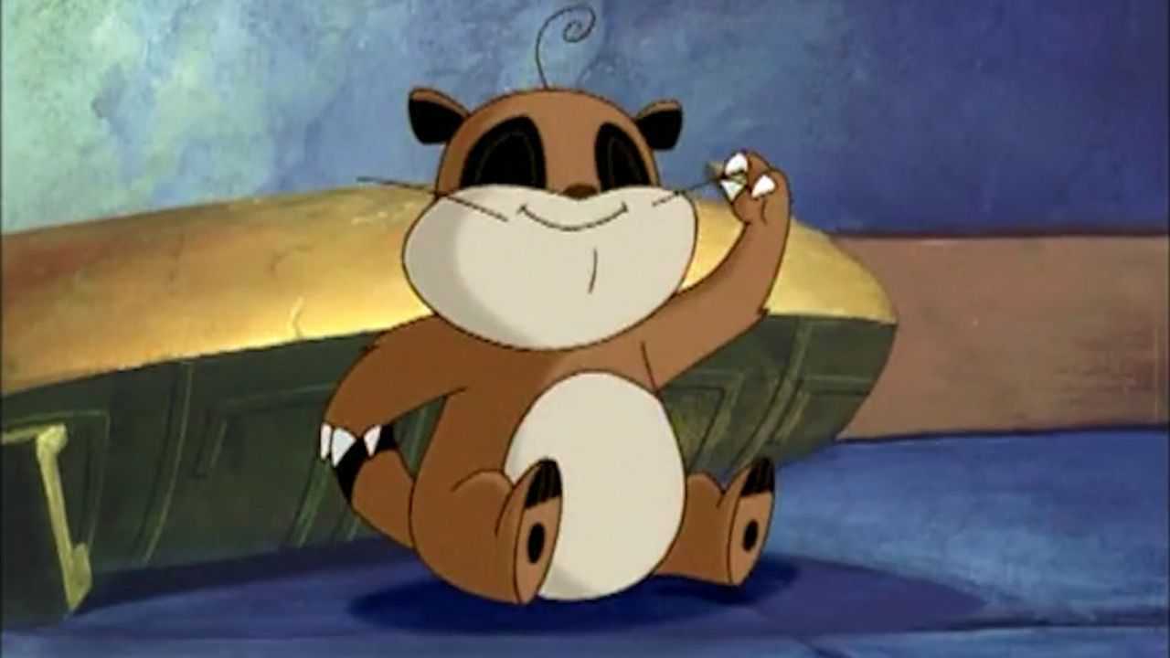 太可爱了宠物界的鼻祖小猪熊上线爱吹牛受到主人的鄙视