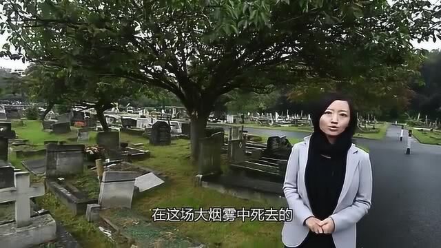 伦敦雾霾事件,成千上万人死亡