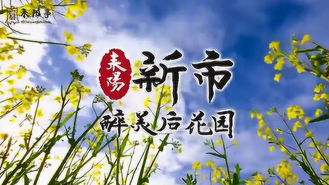 耒阳市新市镇——“醉美后花园”