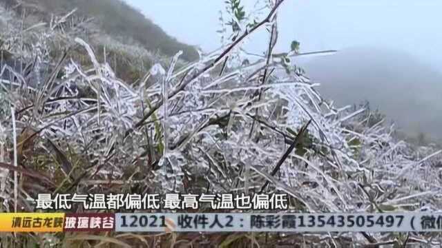 韶关高寒山区挂冰 农户御寒做足