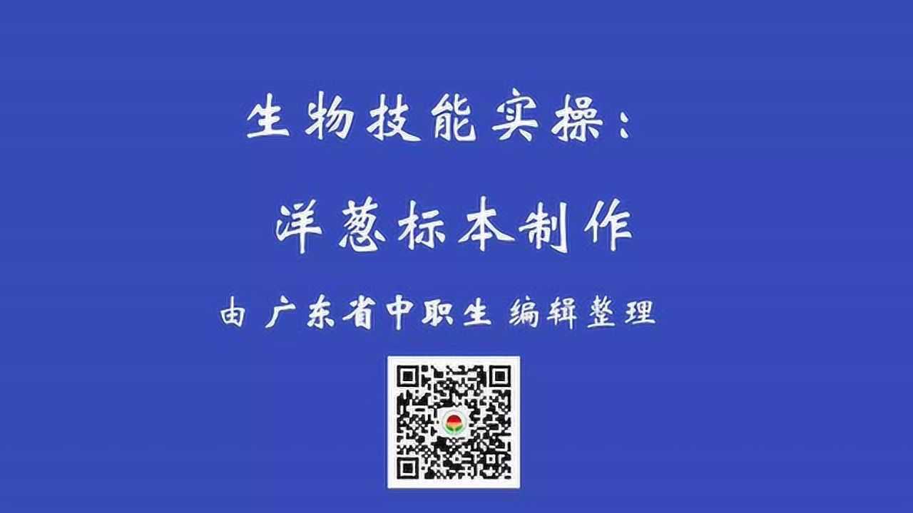 广东省中职技能考试生物技能实操洋葱标本制作