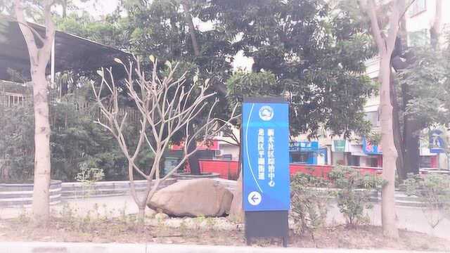 广东省深圳市龙岗区平湖新木村