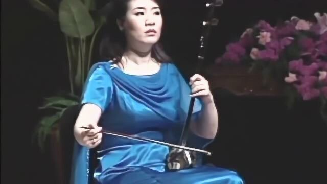 华彦钧作曲《听松》,宋飞老师二胡演奏