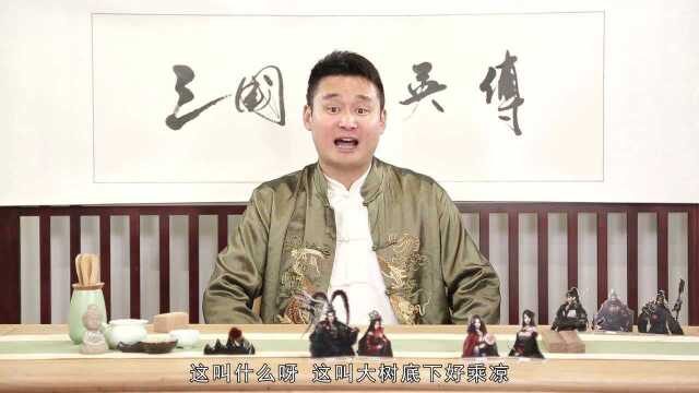 《三国风云志》:谈笑间,樯橹灰飞烟灭帝林