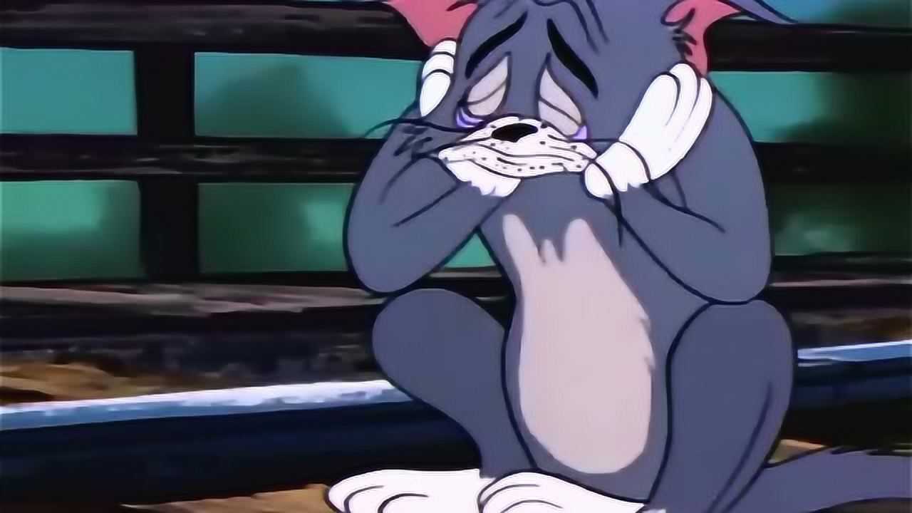 猫和老鼠:汤姆失恋,杰瑞也替他难过