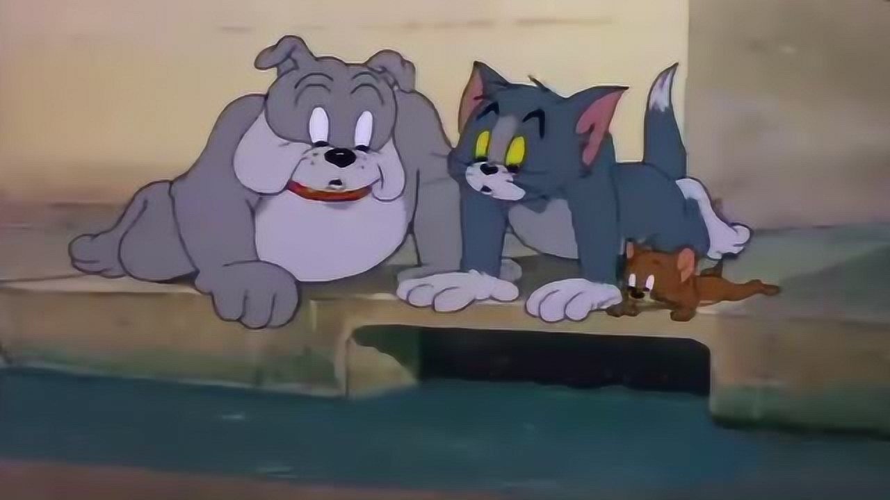 猫和老鼠:一块肉打破了三兄弟和平共处!