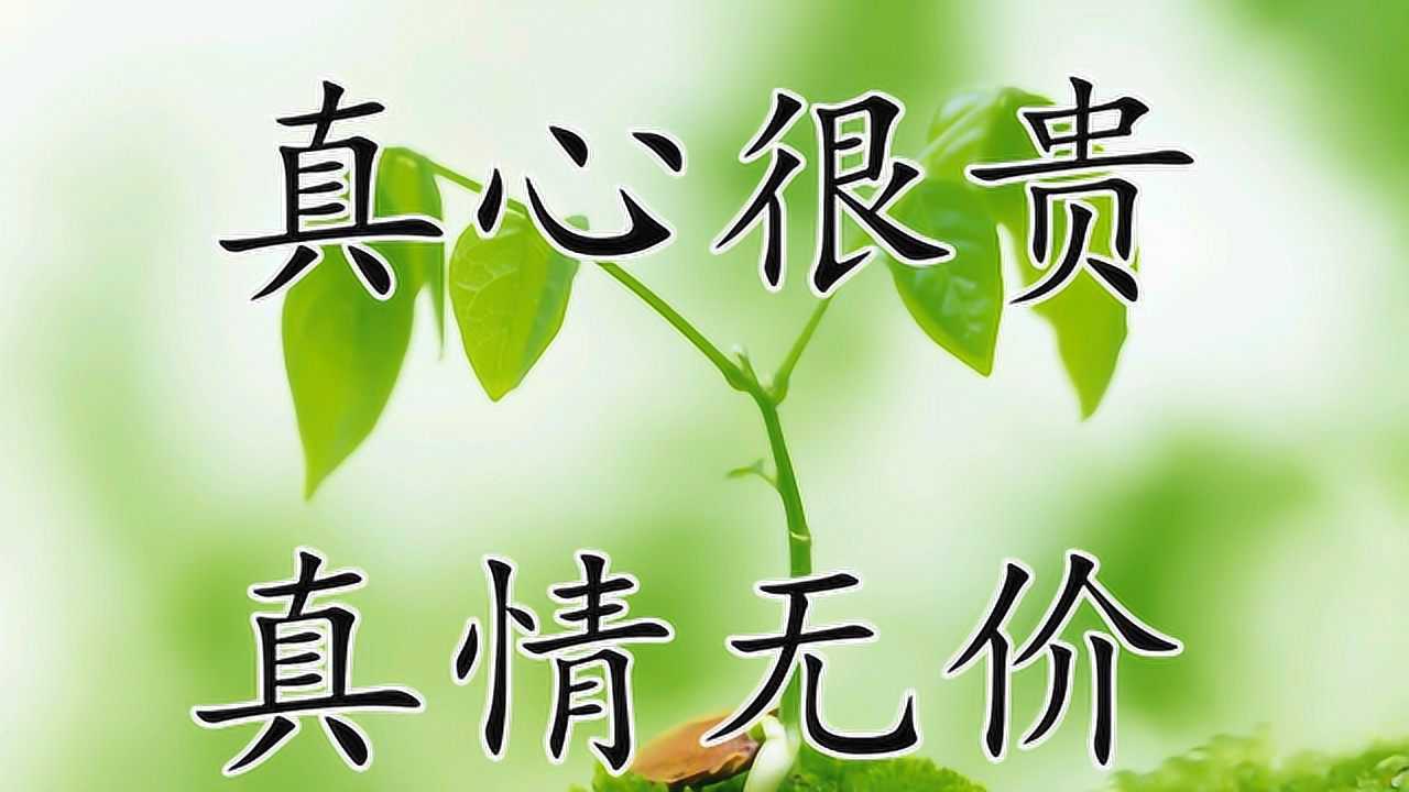你的真心很贵,你的真情无价,一定要留给真心对待你的人