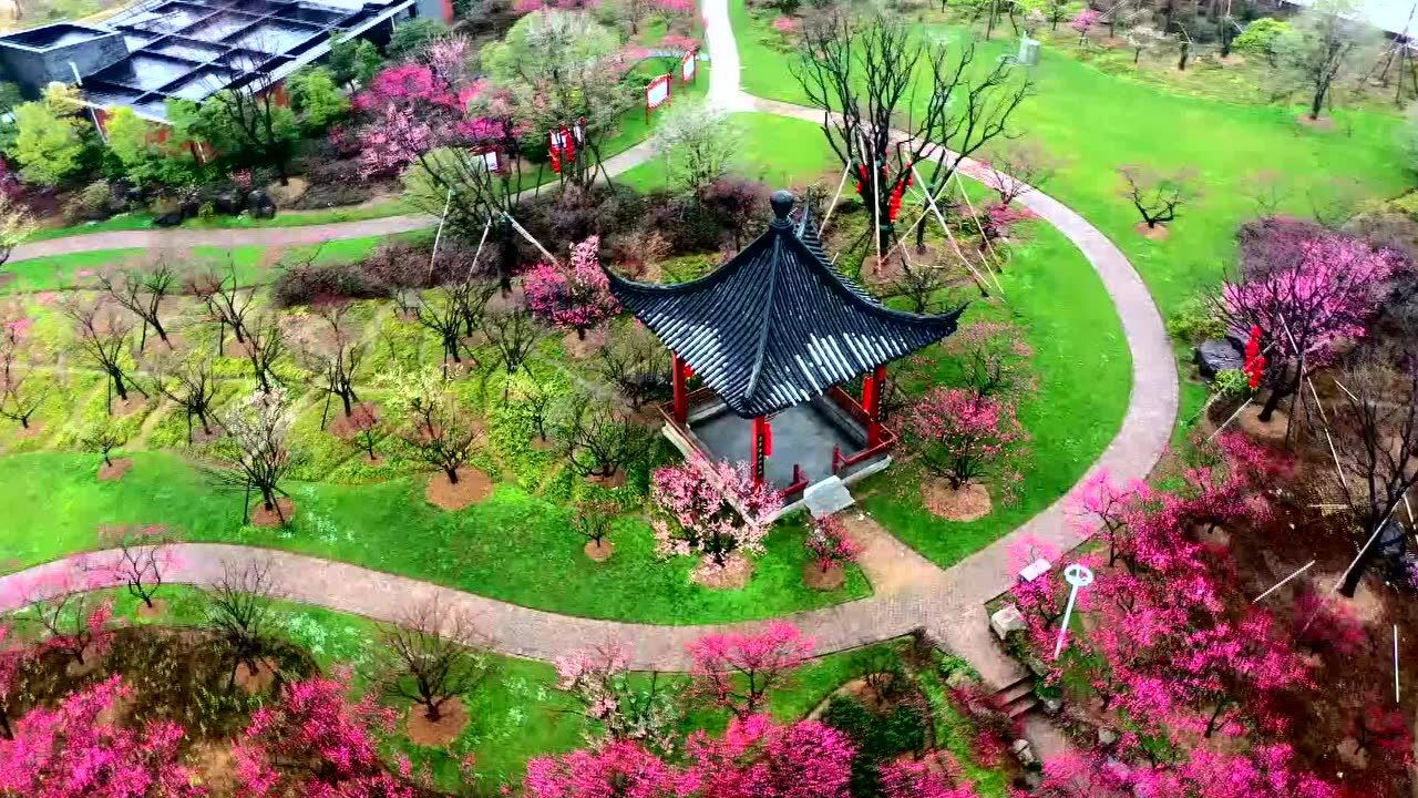 宁波植物园梅园图片