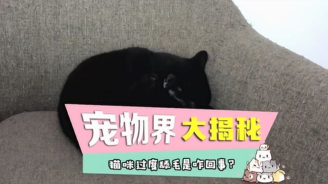 猫咪过度舔毛可要当心了,关键要弄清楚是身体问题还是心理原因