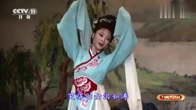 黄梅戏《天仙配》节选:“董郎昏迷在荒郊,哭得七女泪如涛”