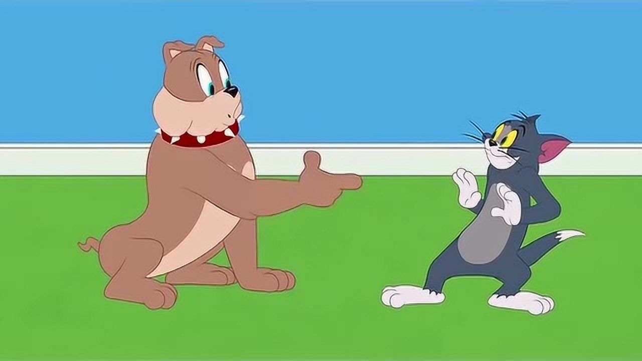 新猫和老鼠:汤姆刚来到新的主人家,和狗狗第一次见面