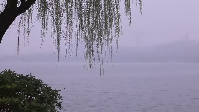 知否?知否?春雨中的商丘日月湖如烟雨江南一样美丽灵动!