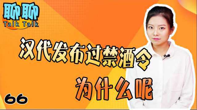 汉代发布禁酒令,为什么会这样呢,一起来看看