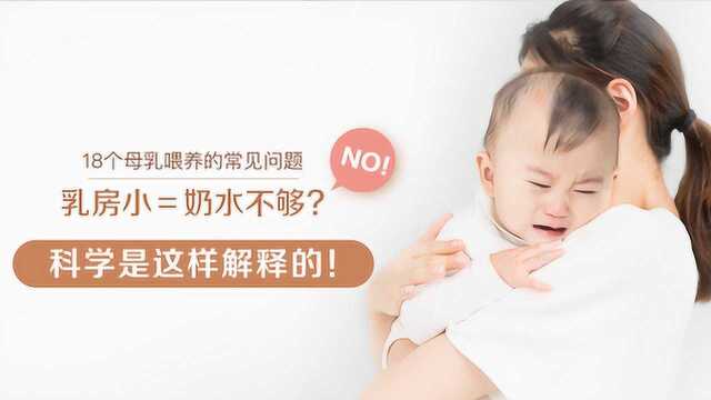 18个母乳喂养常见问题 第06集 乳房小奶水就不够宝宝吃吗?