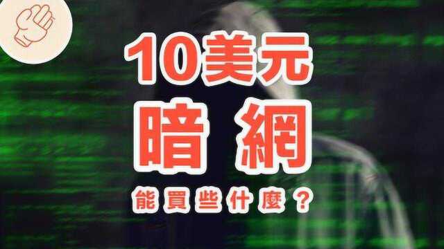 深网里10美金能买到什么东西?