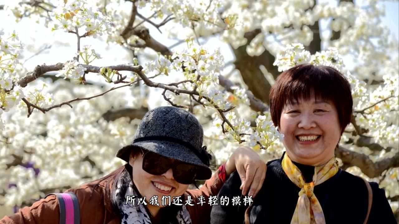 千树万树梨花开_腾讯视频