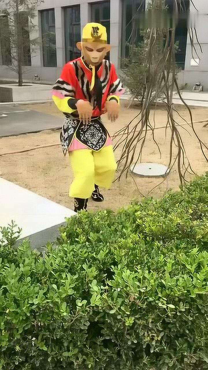 孙悟空变苍蝇这只苍蝇有点大啊
