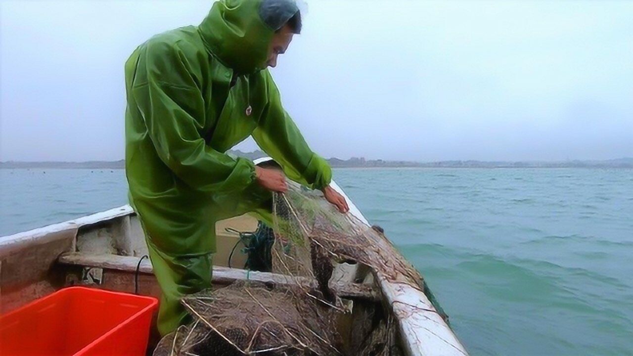 渔人阿烽赶海图片