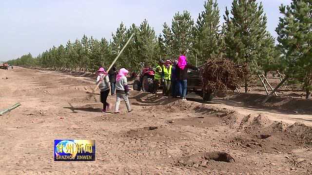 国道227线乡村振兴示范带绿化工作全面展开