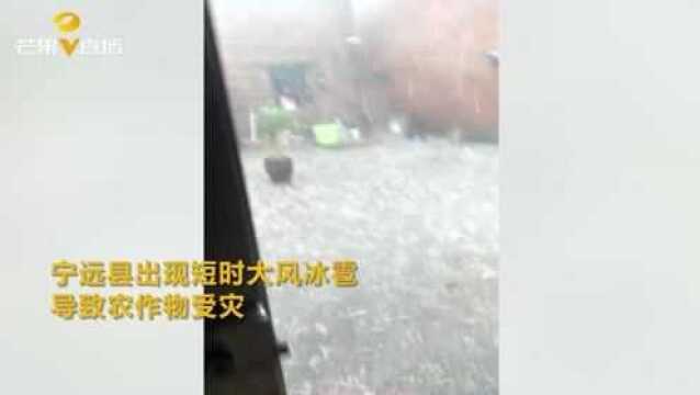 永州宁远县突降鸡蛋大冰雹,140亩烤烟全部受灾