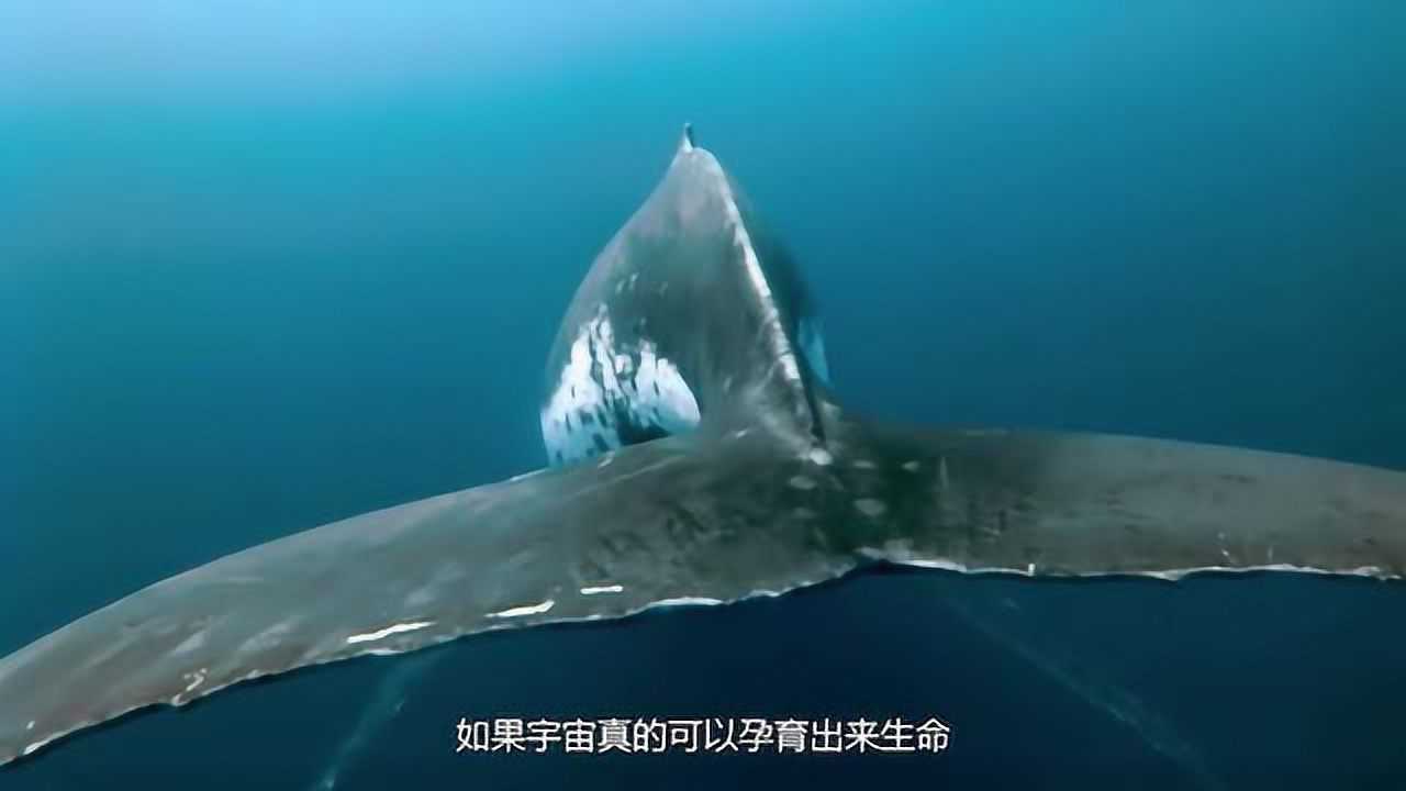 “北冥有鱼，其名为鲲”_腾讯视频