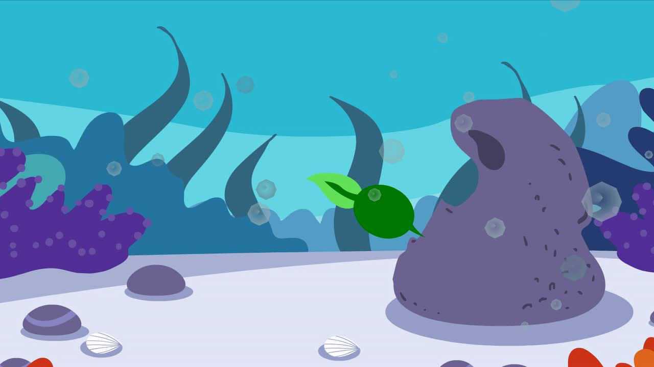 蓝色药苑系列科普i:海洋无脊椎动物-海鞘