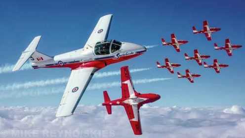 加拿大空军雪鸟特技飞行表演队，飞机年龄是飞行员的两倍