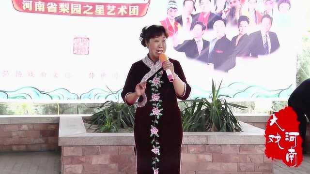 何艳丽演唱:豫剧《程咬金照镜子》“三十多岁坐花轿”选段